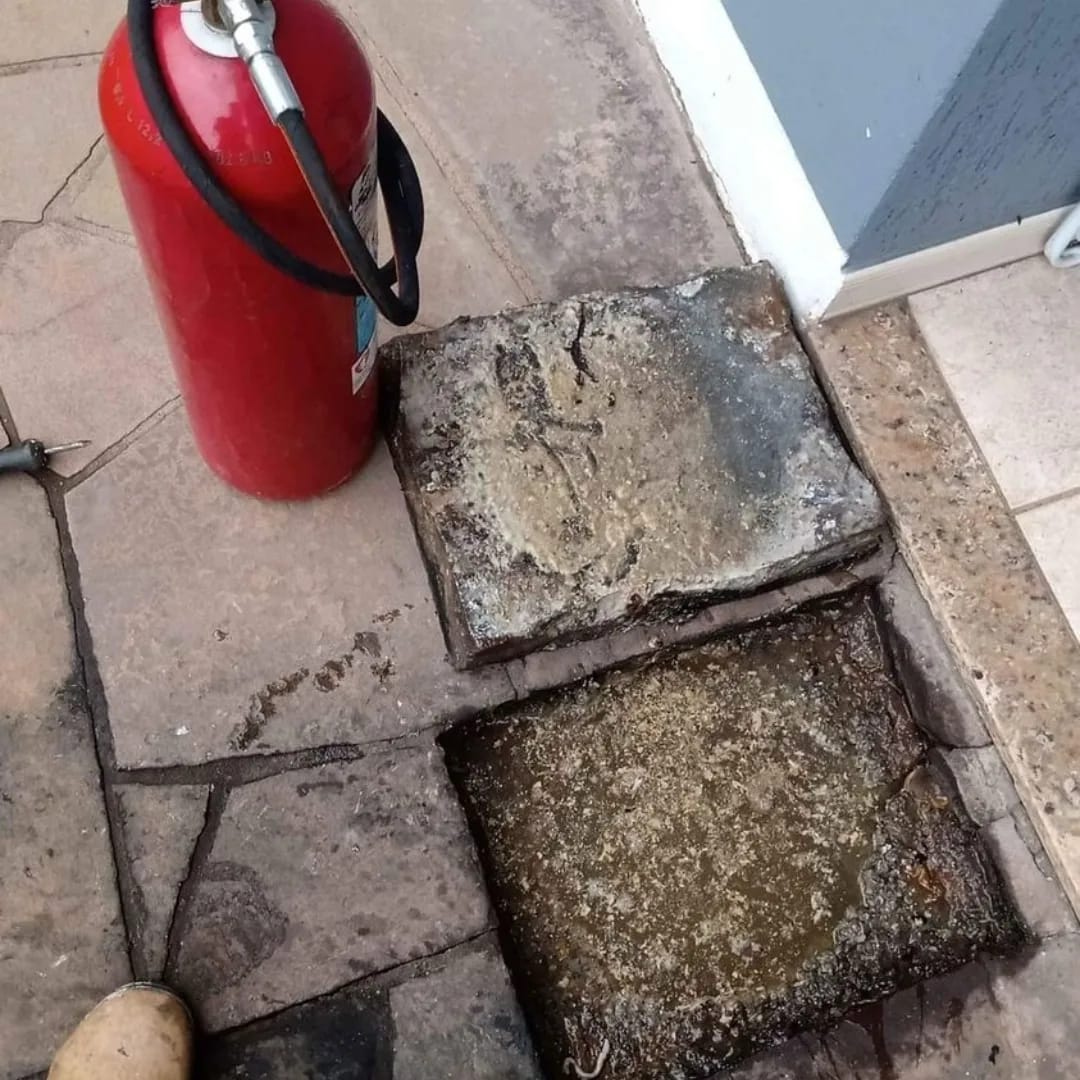Limpeza de Caixa de Gordura
